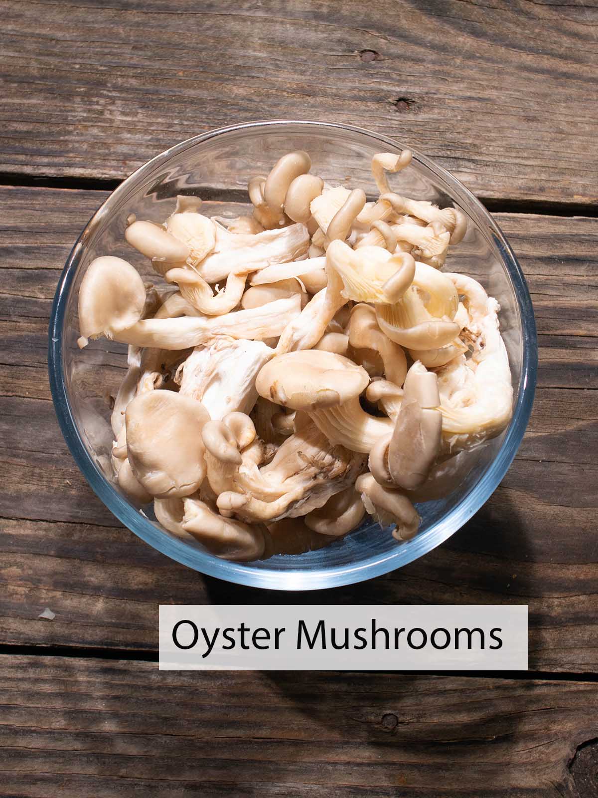 a bowl of fresh oyster mushrooms