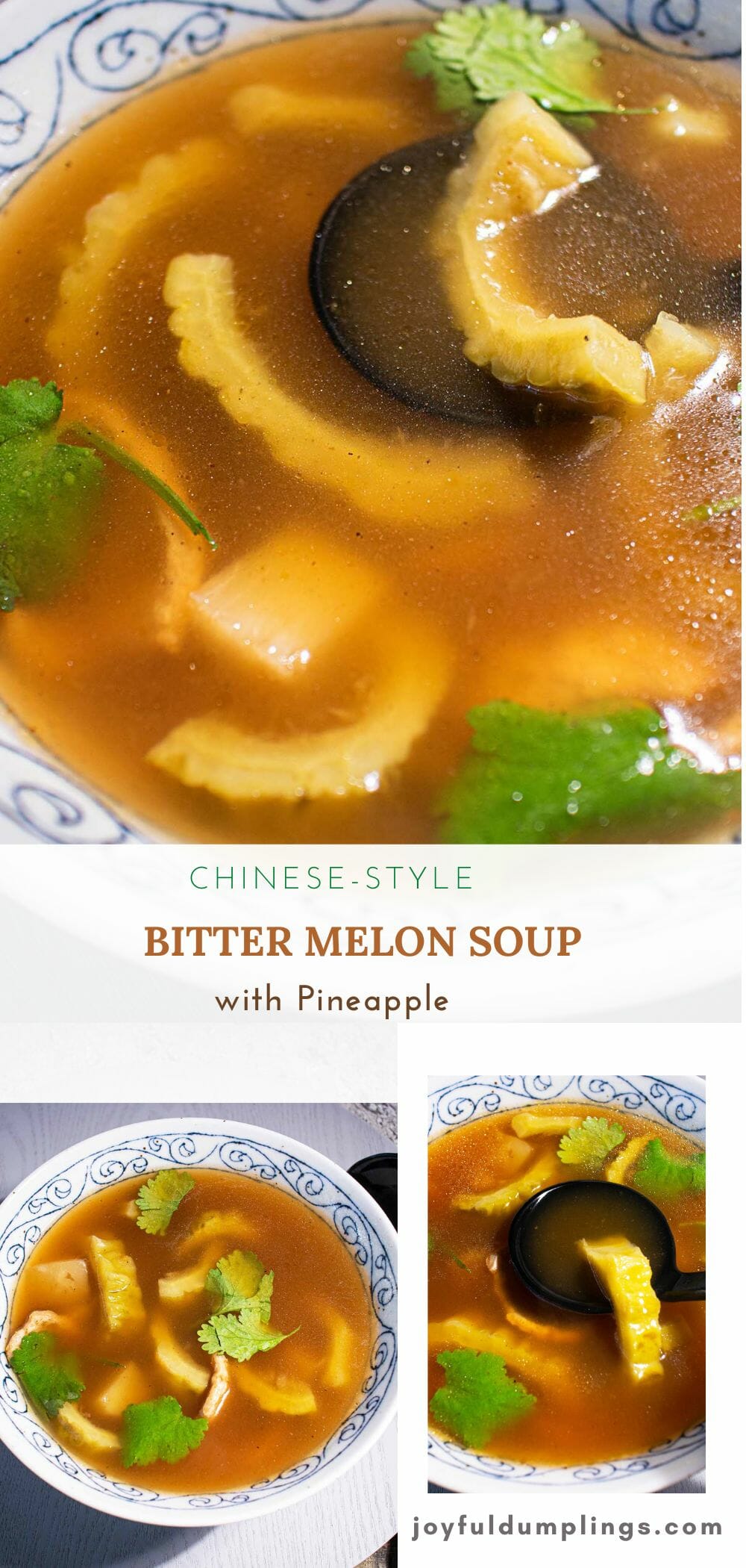 bitter-melon-recipe-soup