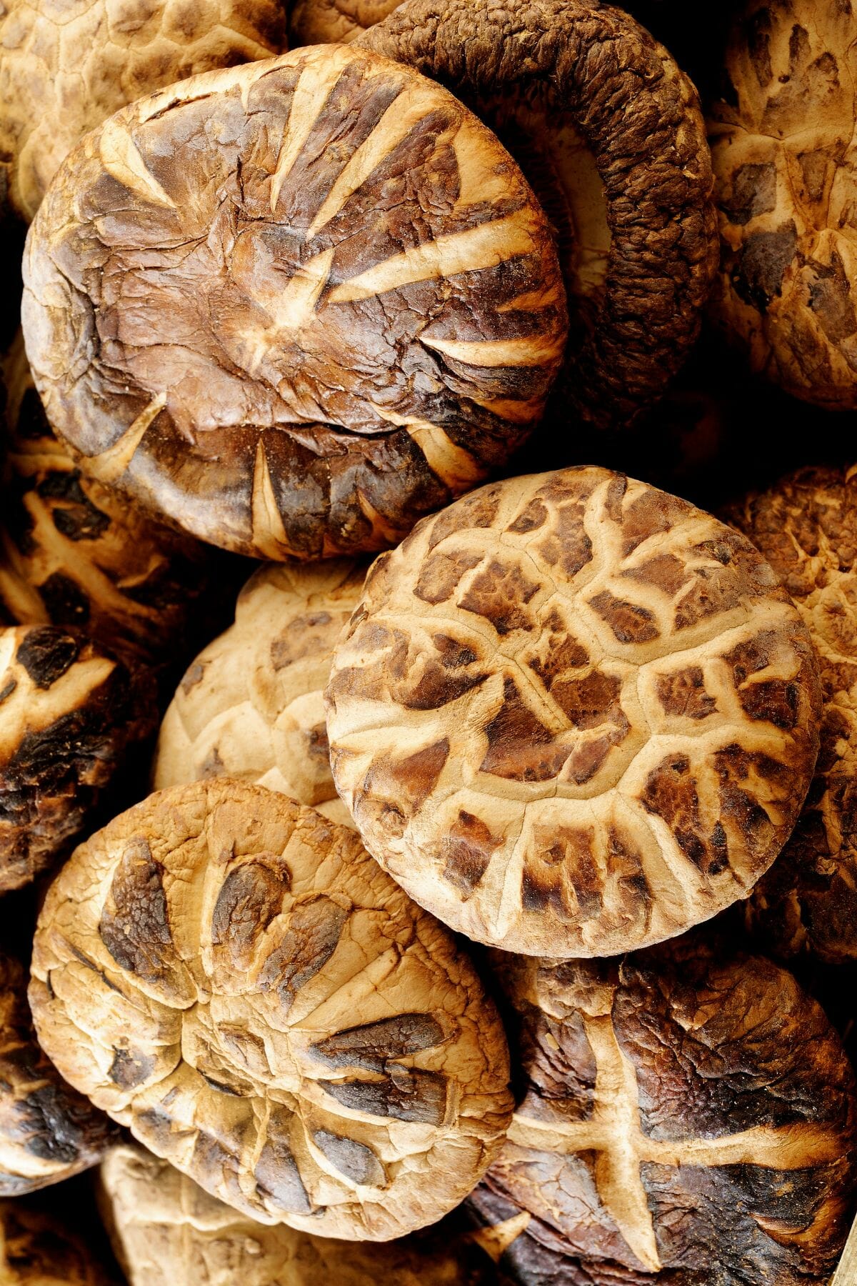 bursting patterns on shiitake mushrooms