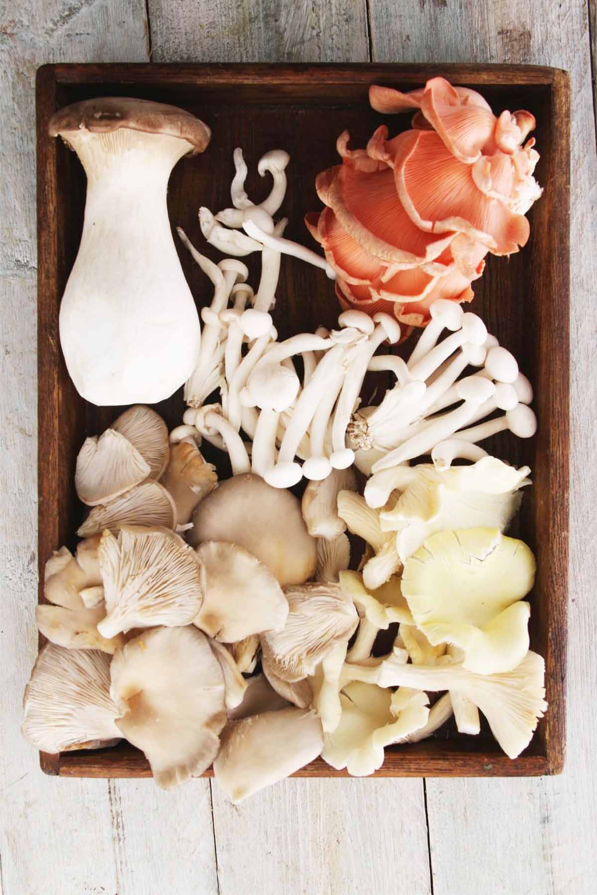 a tray of mixed mushrooms