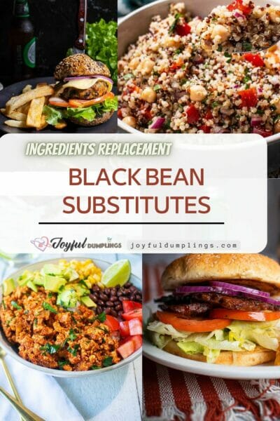 black beans alternatives