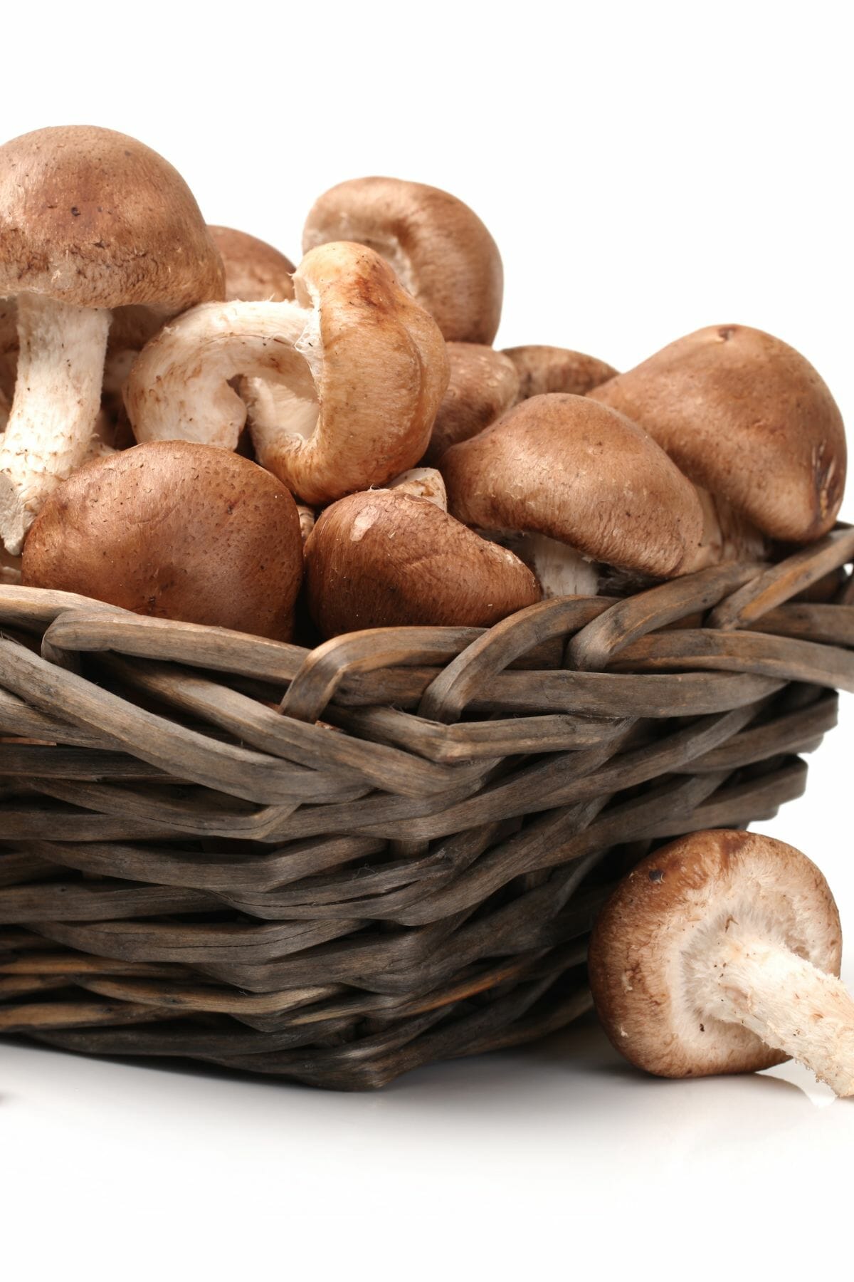 a basket of mushrooms