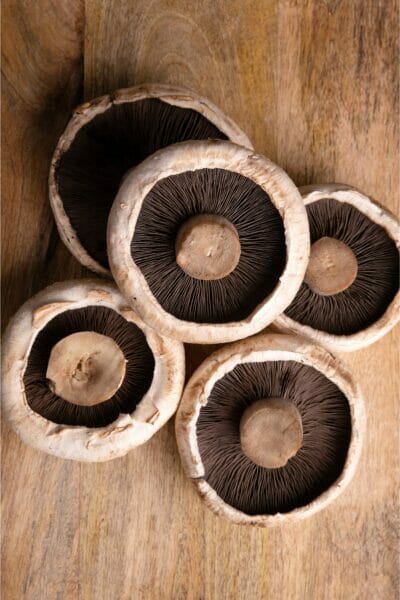 fresh Portobello mushrooms as shiitake replacement