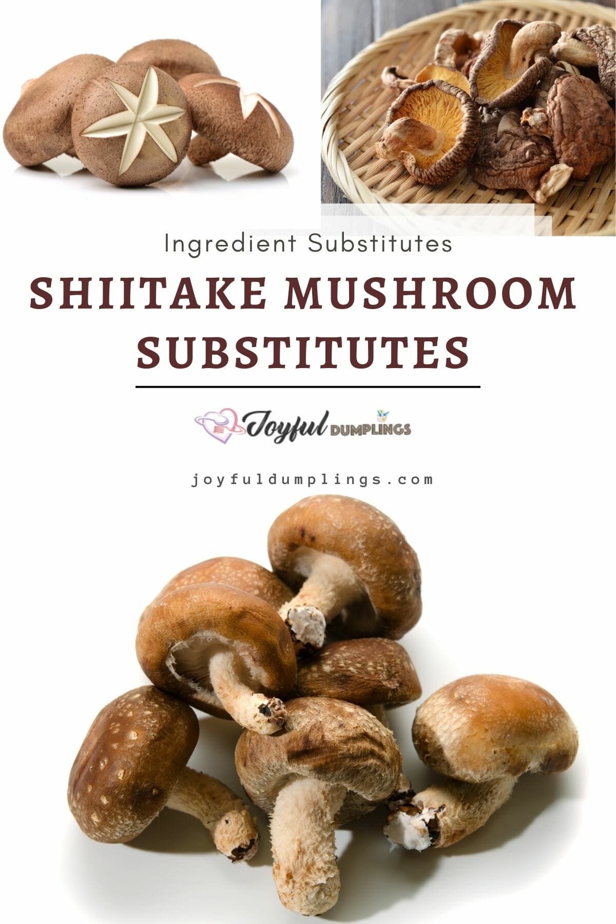 three pictures of shiitake mushrooms
