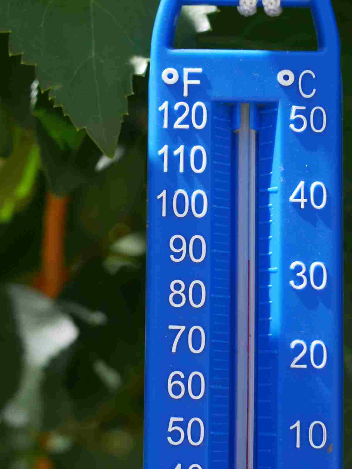 a Fahrenheit temperature measurement