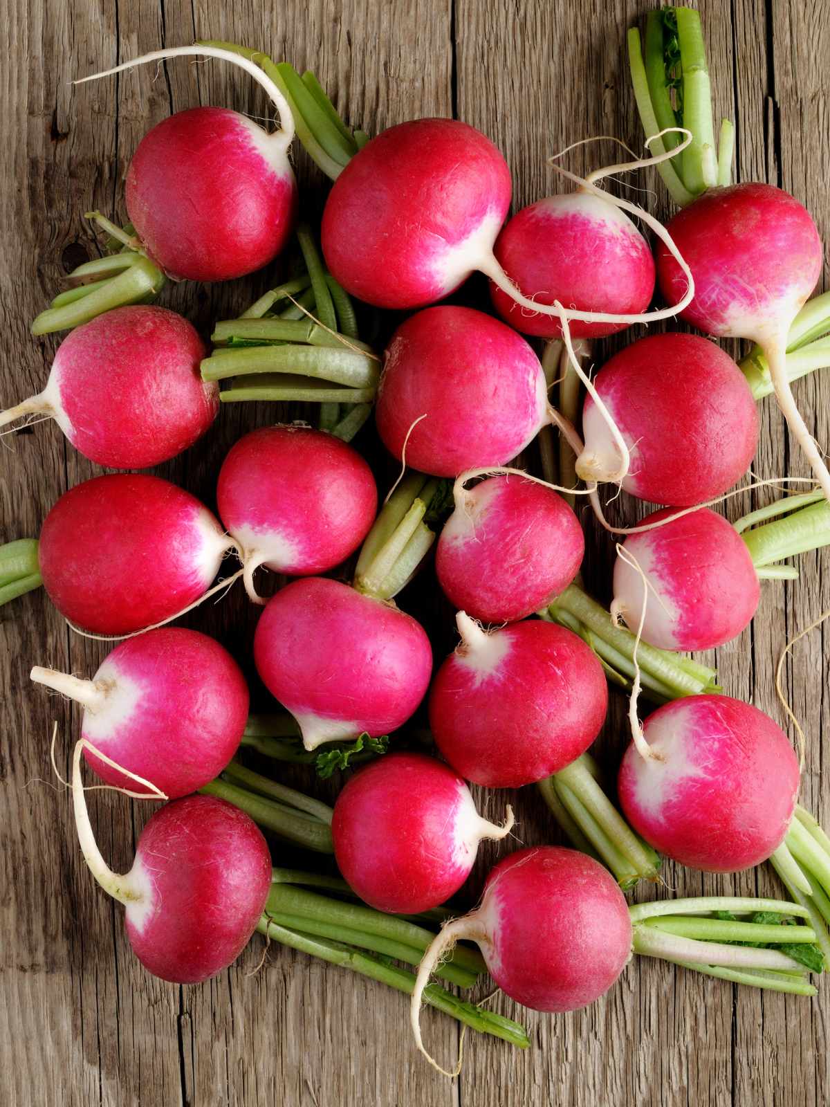 pink radishes