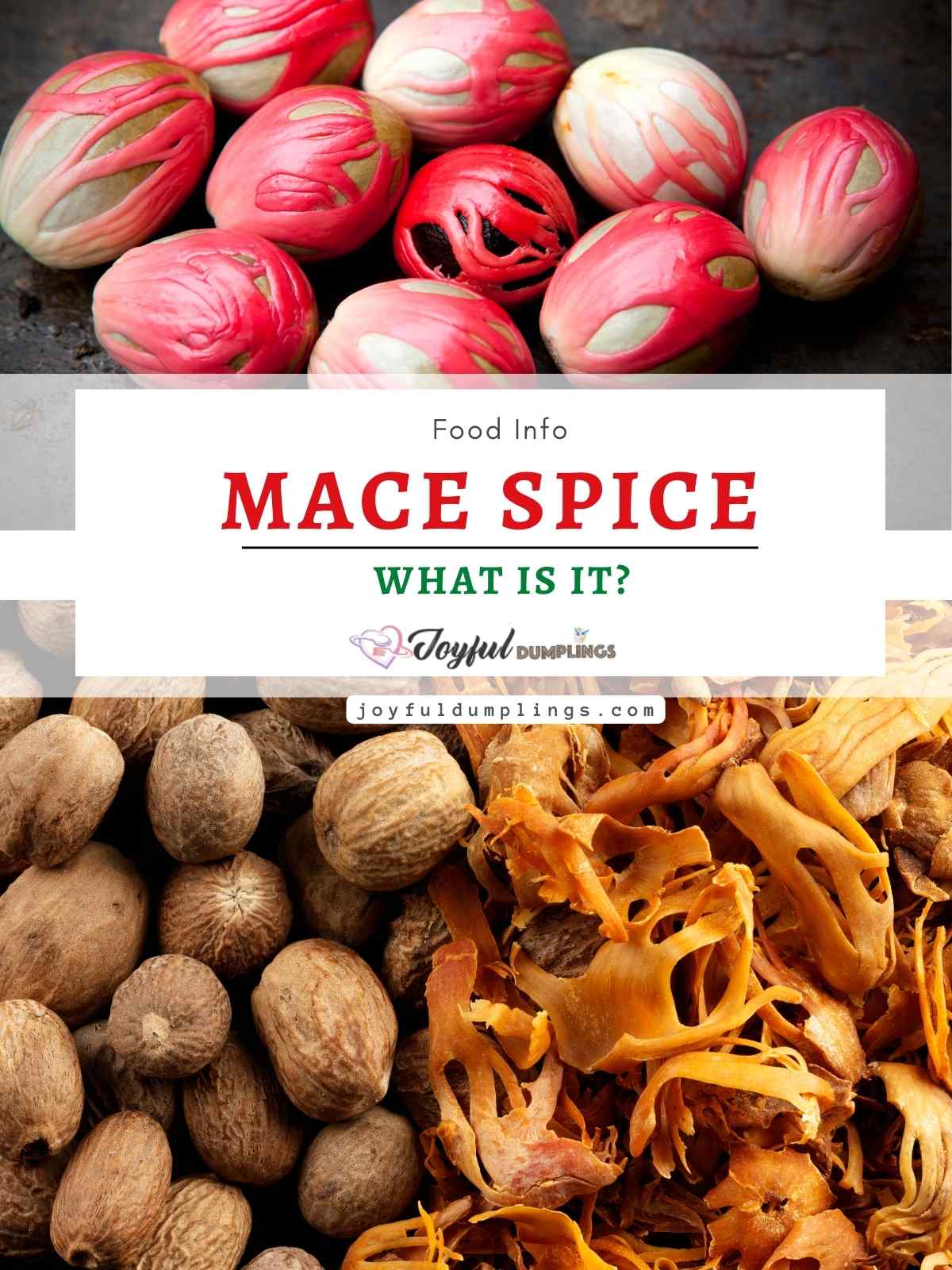 Mace Spice? What Is It? » Joyful Dumplings