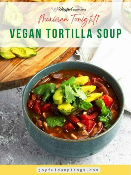 tortilla soup vegetarian-healthy tortilla soup