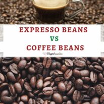 expresso beans vs coffee beans