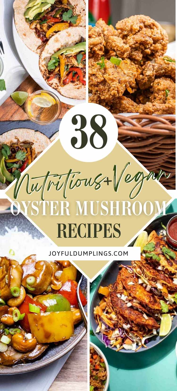 vegan oyster mushroom recipe round up