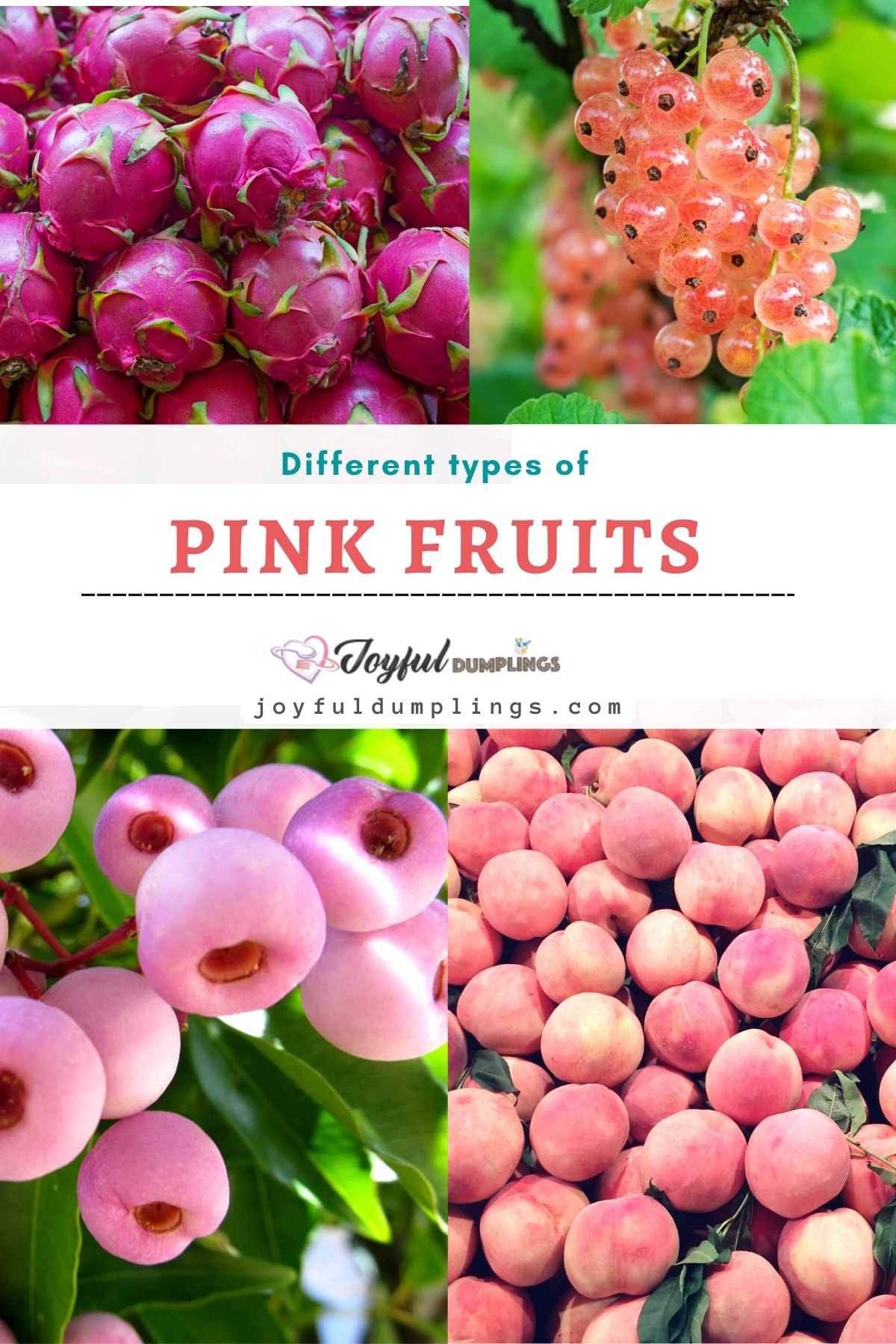 24 Pink Fruits Around The World » Joyful Dumplings
