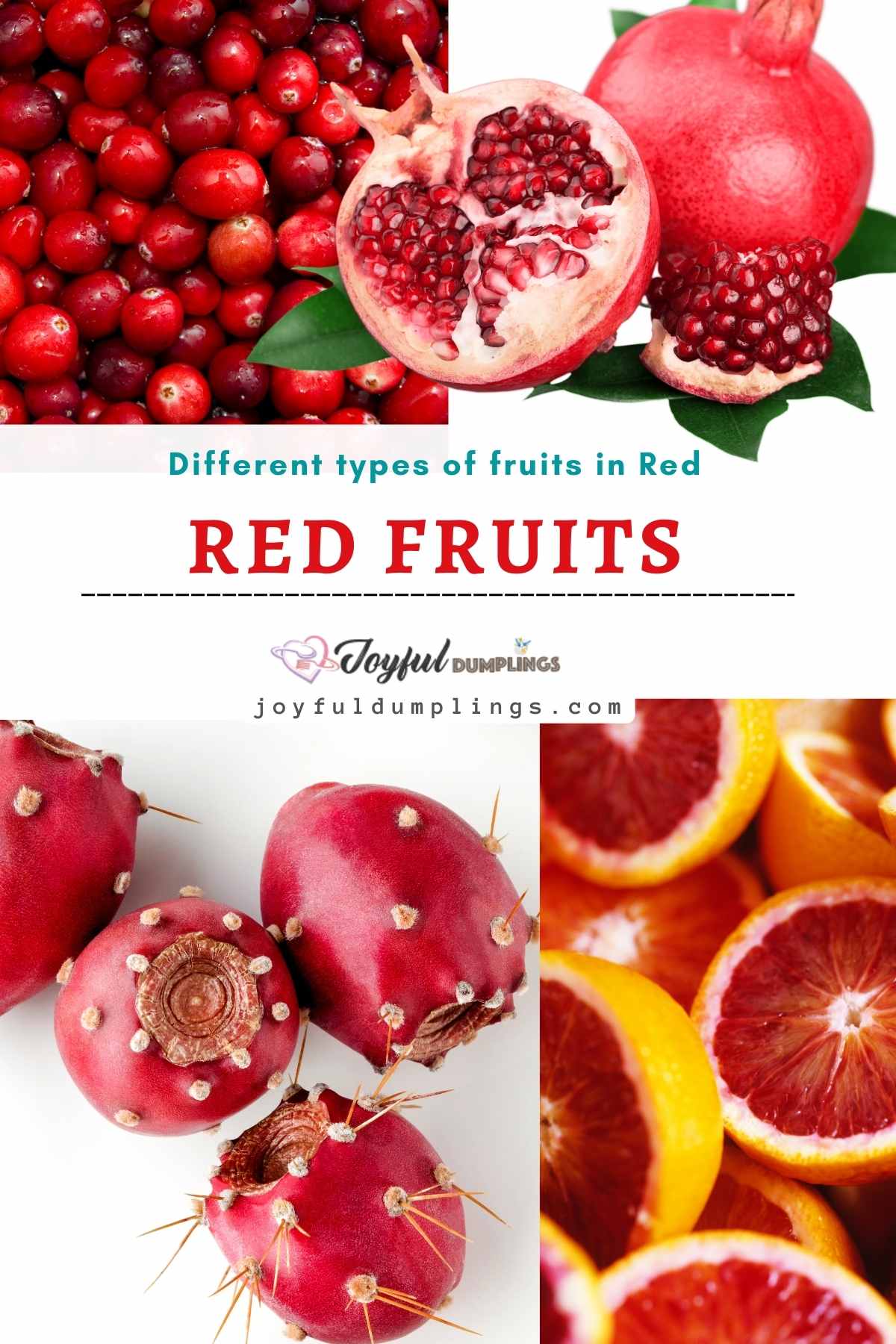 fruits in red
