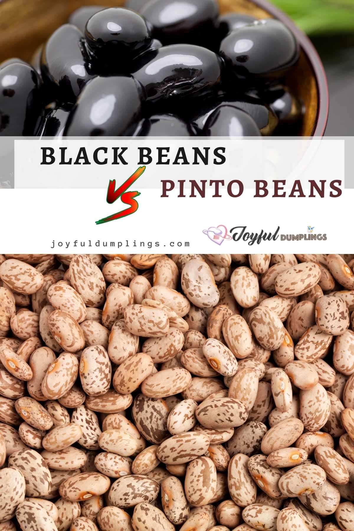 black beans vs pinto beans
