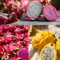 what is dragon fruit supposed to taste like