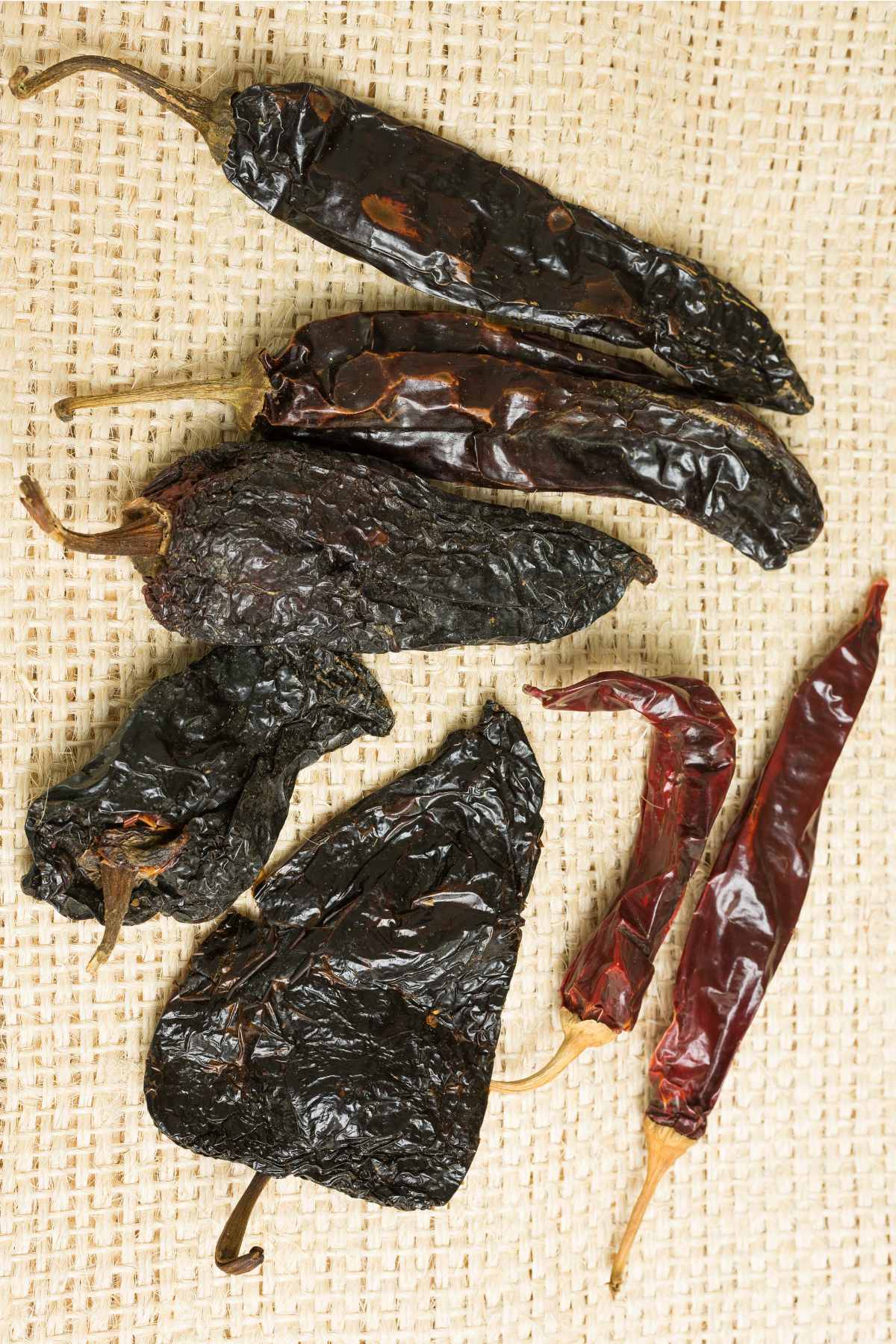 Mexican chiles