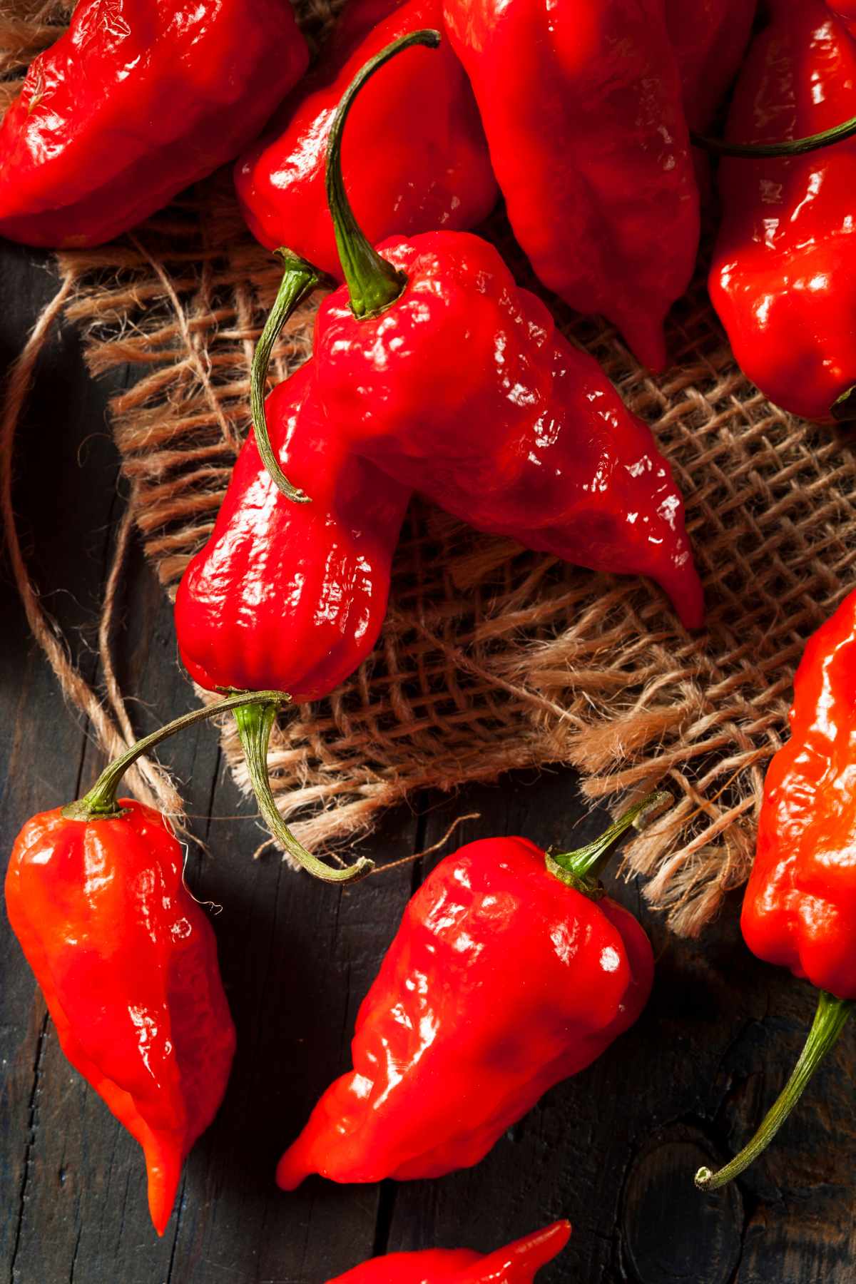 what are ghost peppers