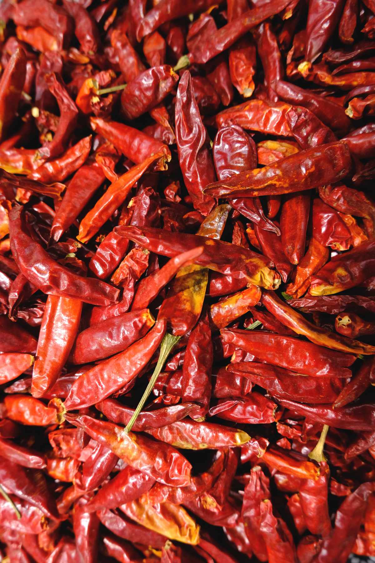 korean hot pepper