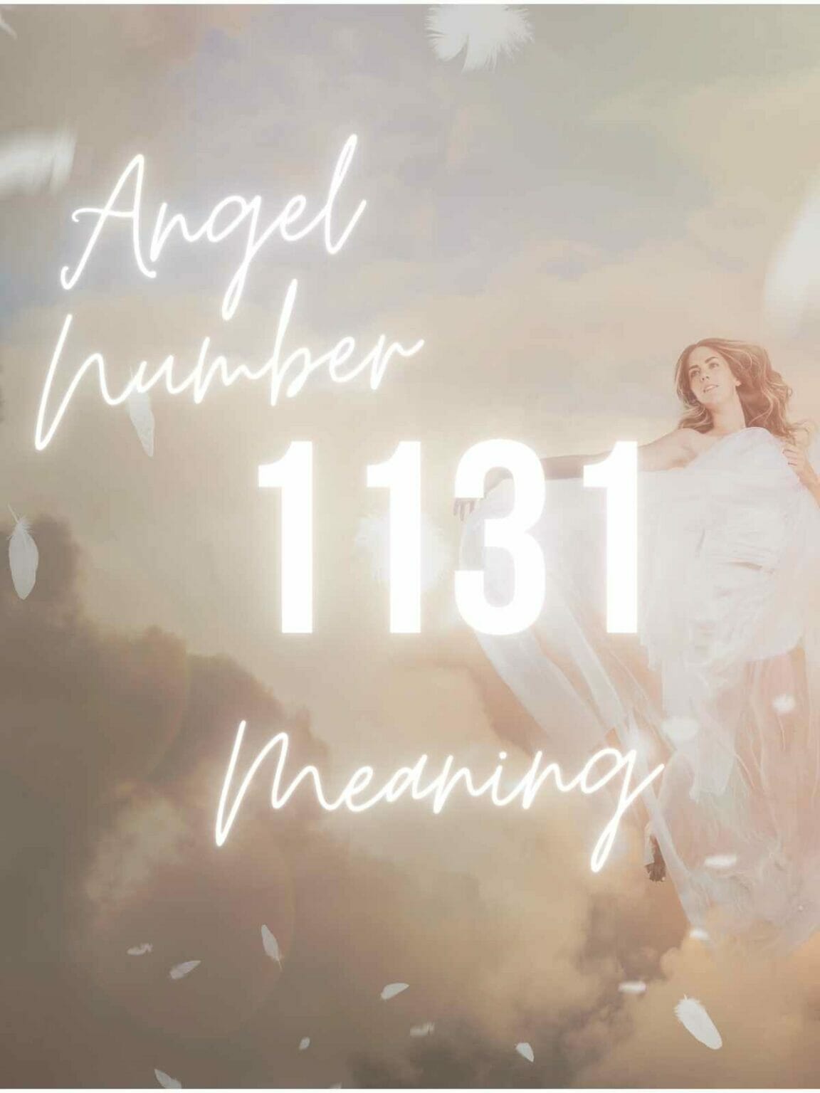 1131 meaning