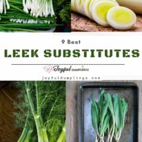 best substitutes for leek