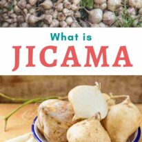 what is jicama