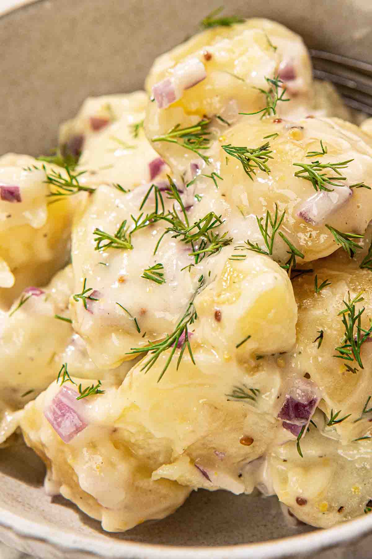 red potato salad with dill