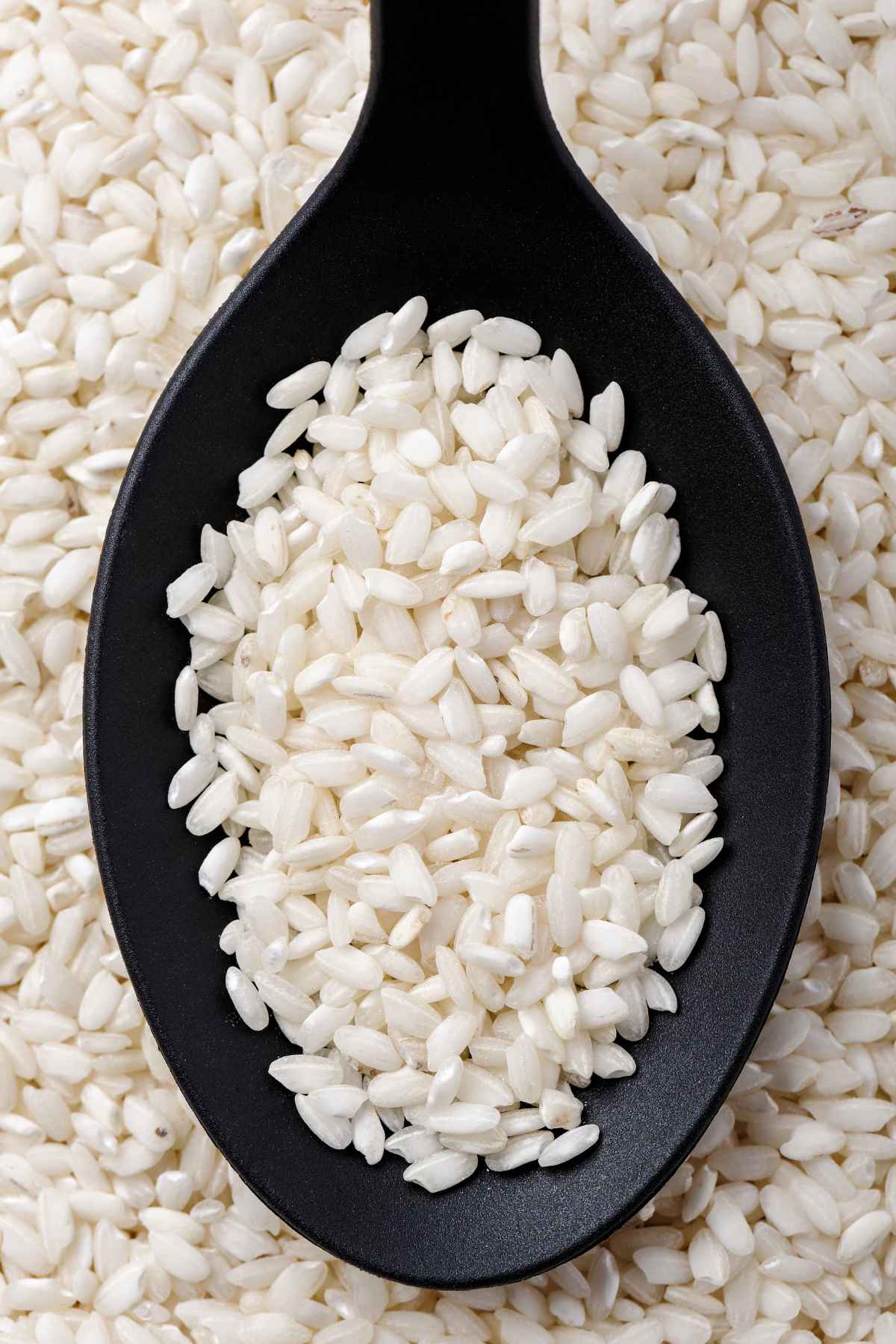 risotto rice type