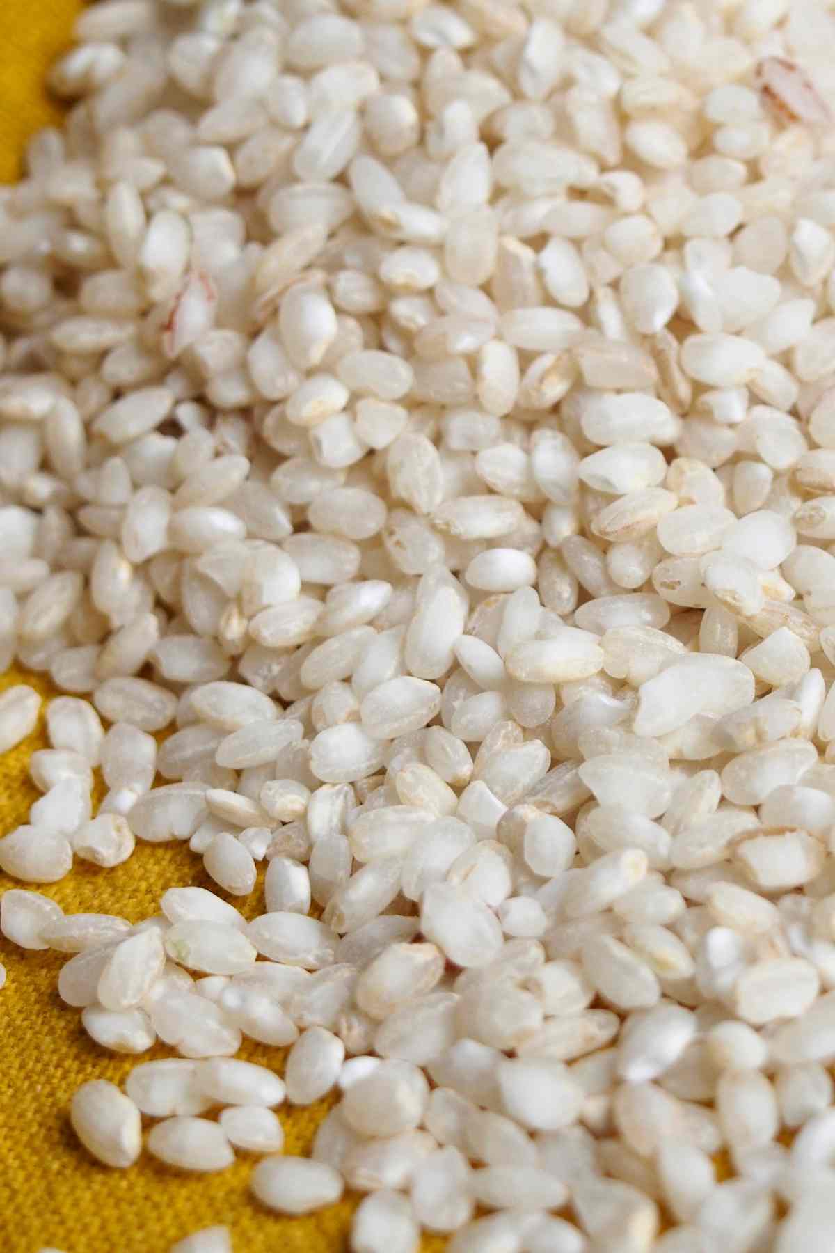 short grain white rice