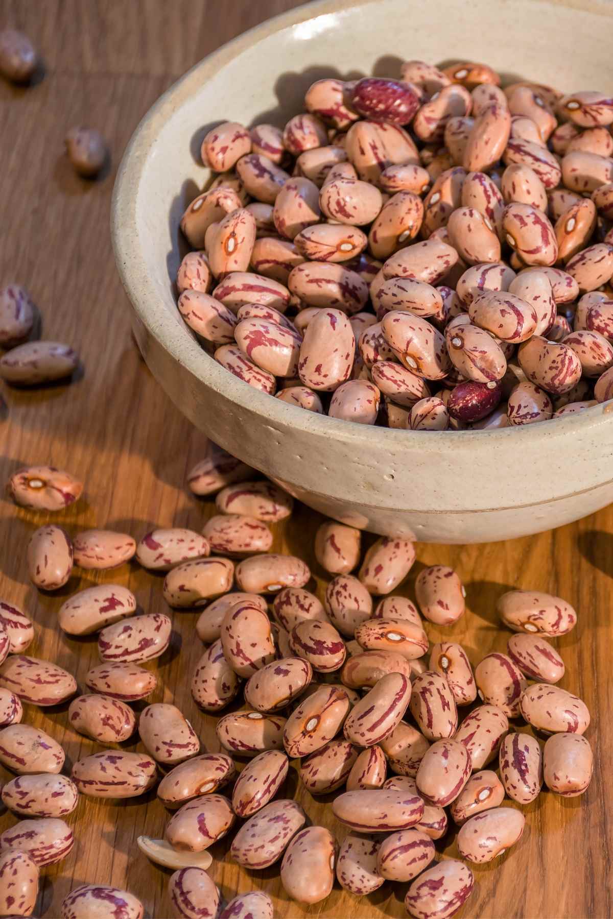 beans protein source