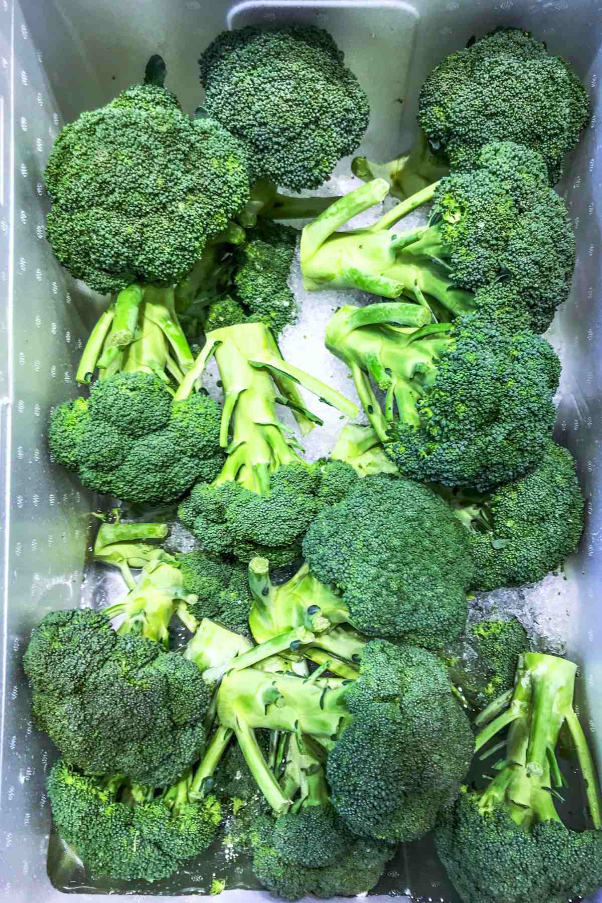 fiber vegetables