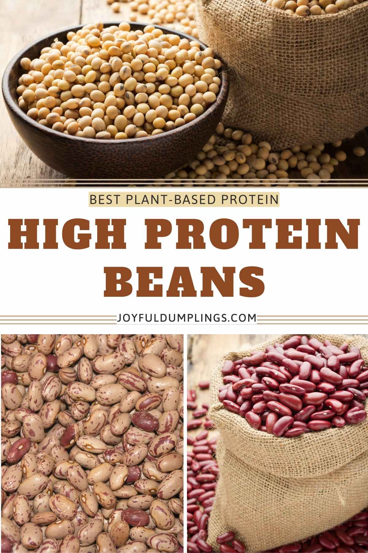 beans with most protein