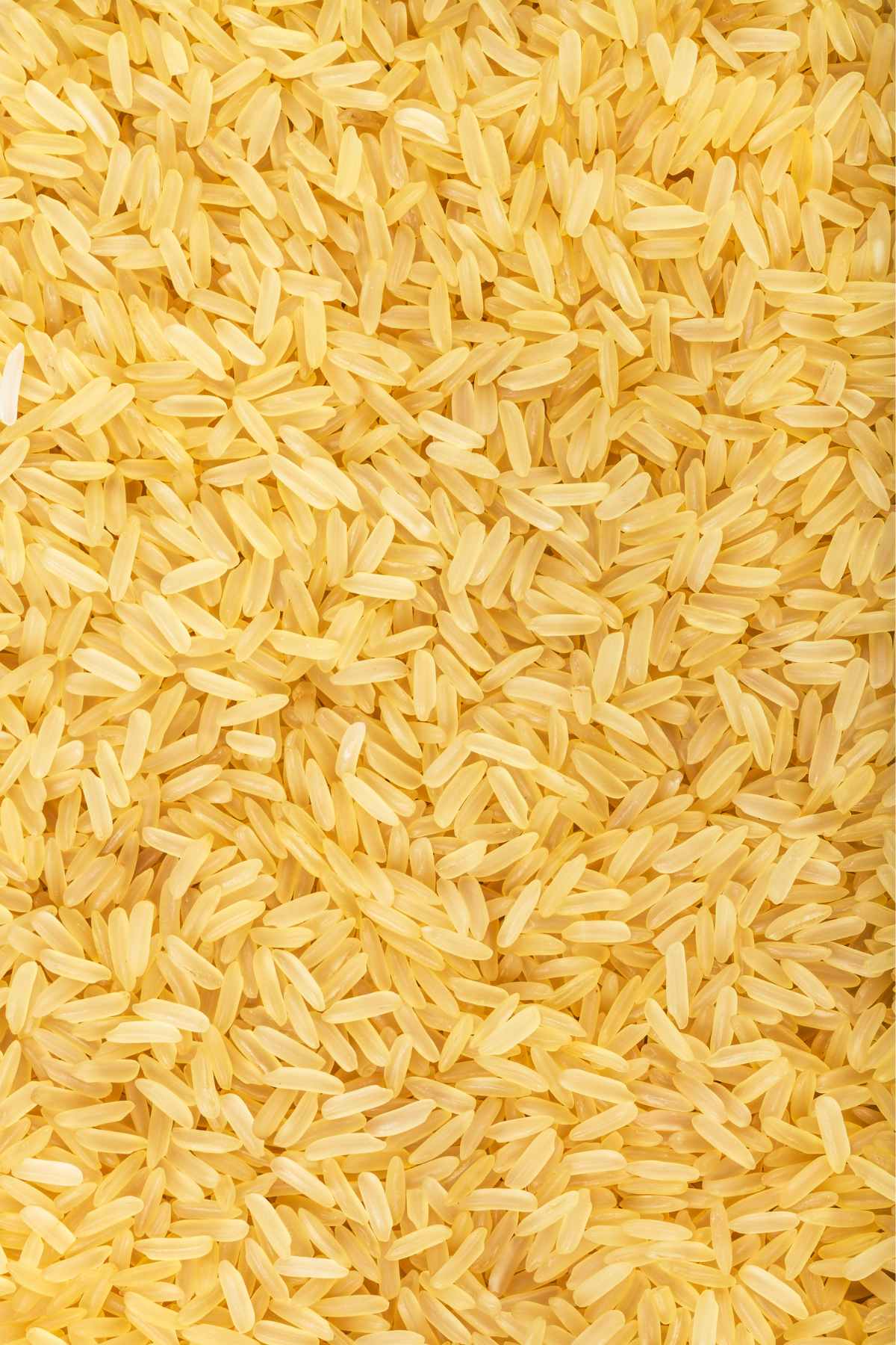 Taiwanese rice
