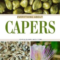 what plant are capers from