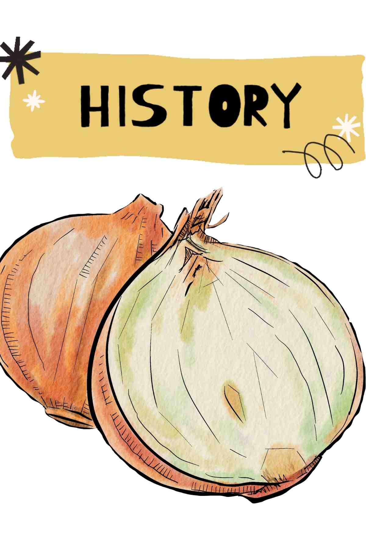 onions history
