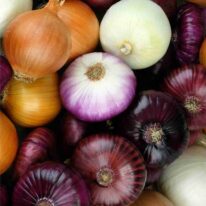 nutritional value of onions