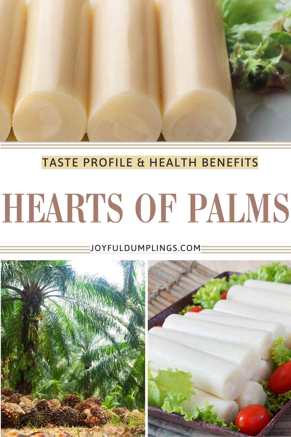 what are hearts of palm