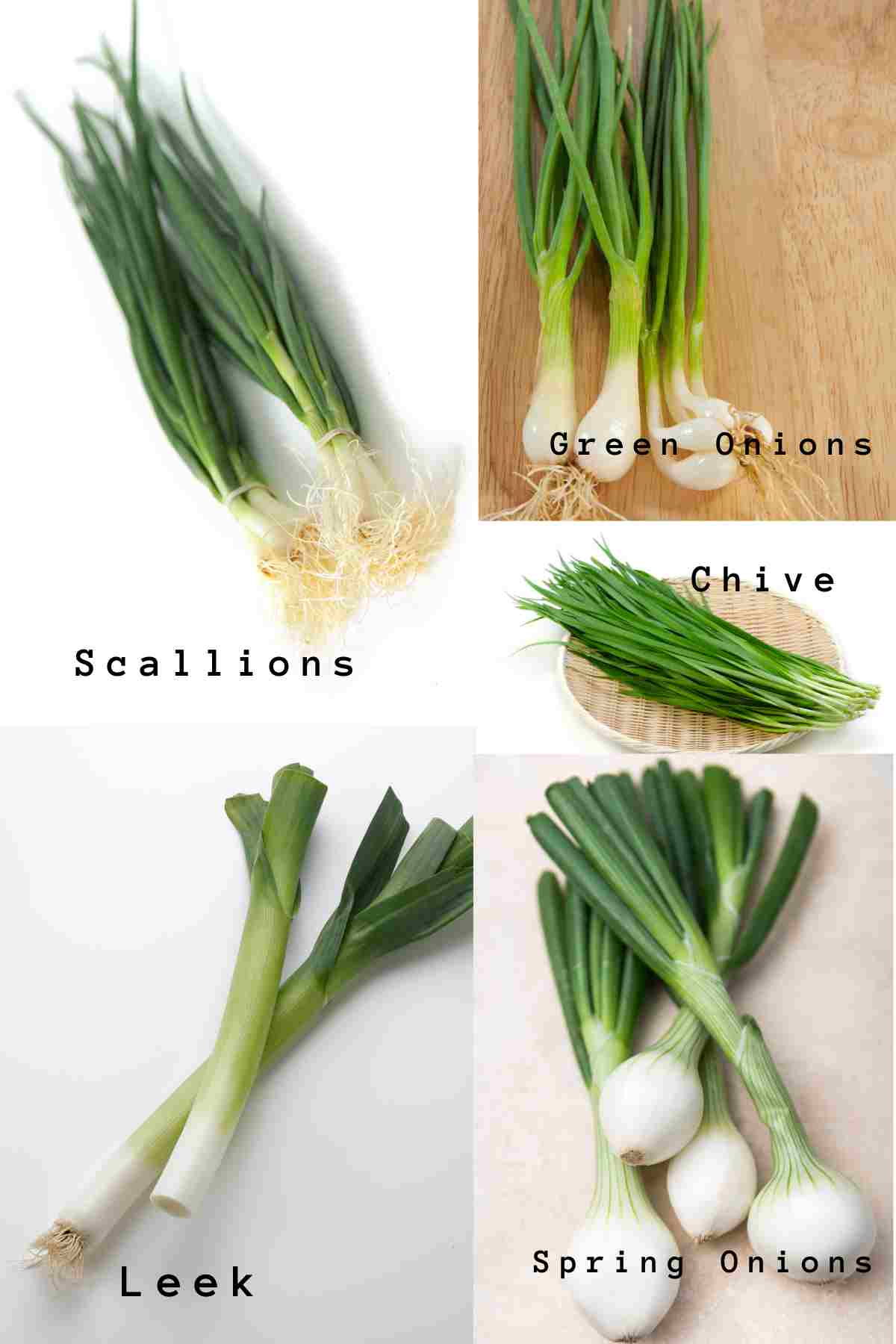 what is the difference between chives and green onions
