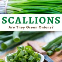 Scallions Vs. Green Onions