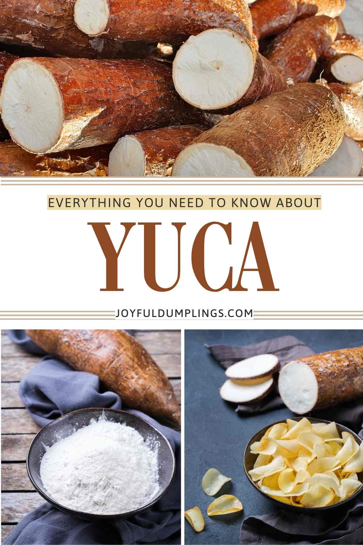 what is a yuca