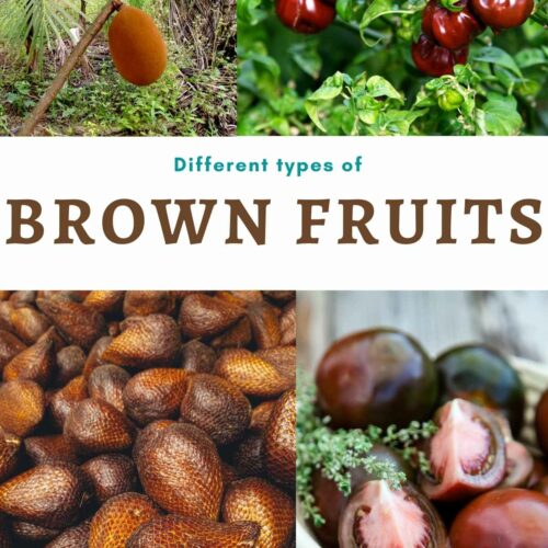 brown color fruit