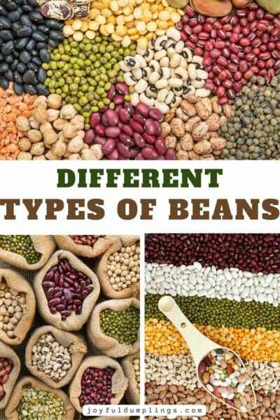 kinds of beans