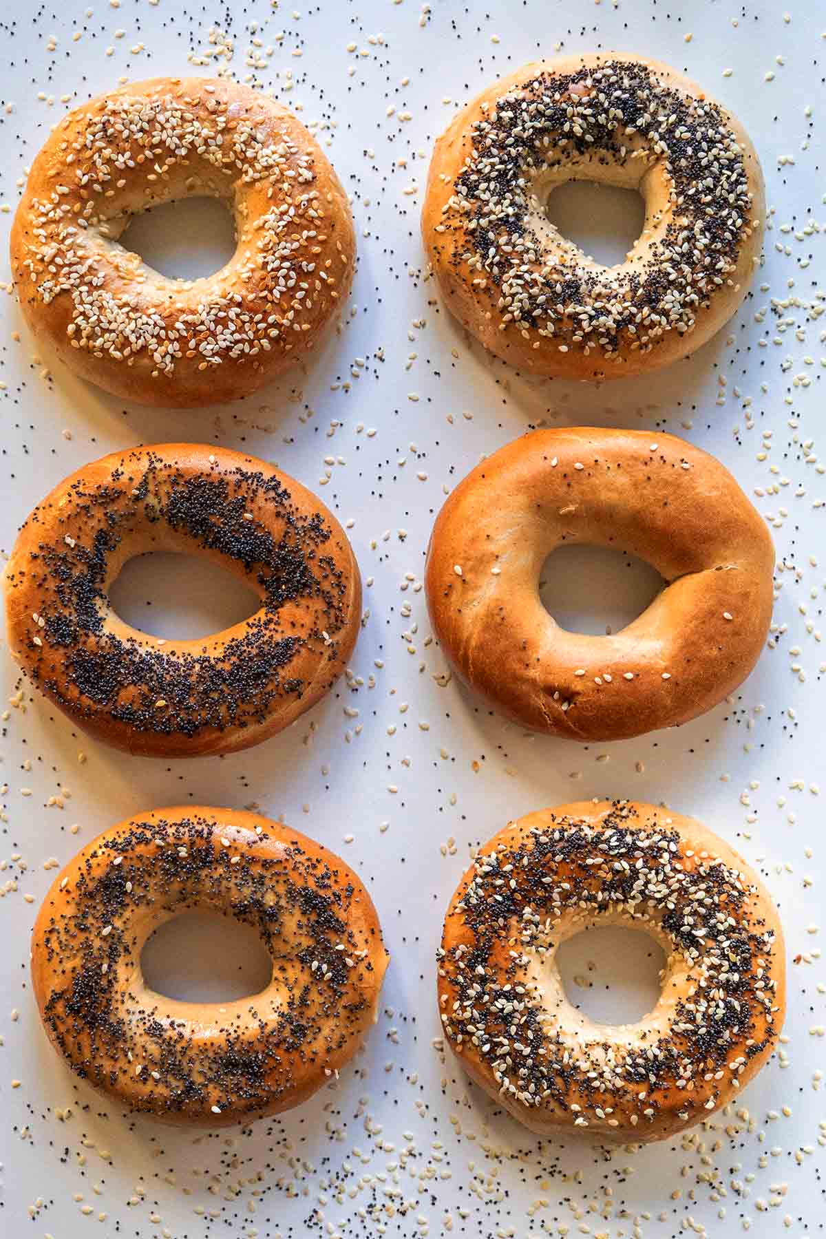 https://joyfuldumplings.com/wp-content/uploads/2023/10/homemade-bagels-recipe-new-york-style-1.jpg