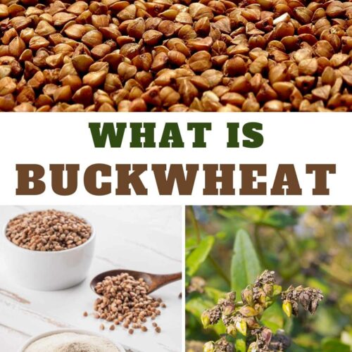 what does buckwheat look like