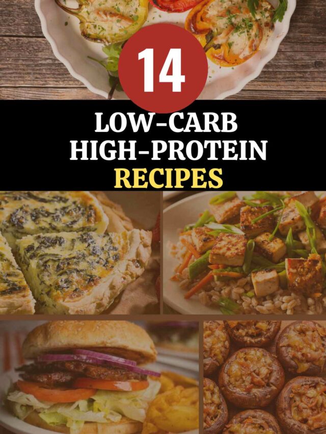 low carb high protein recipes