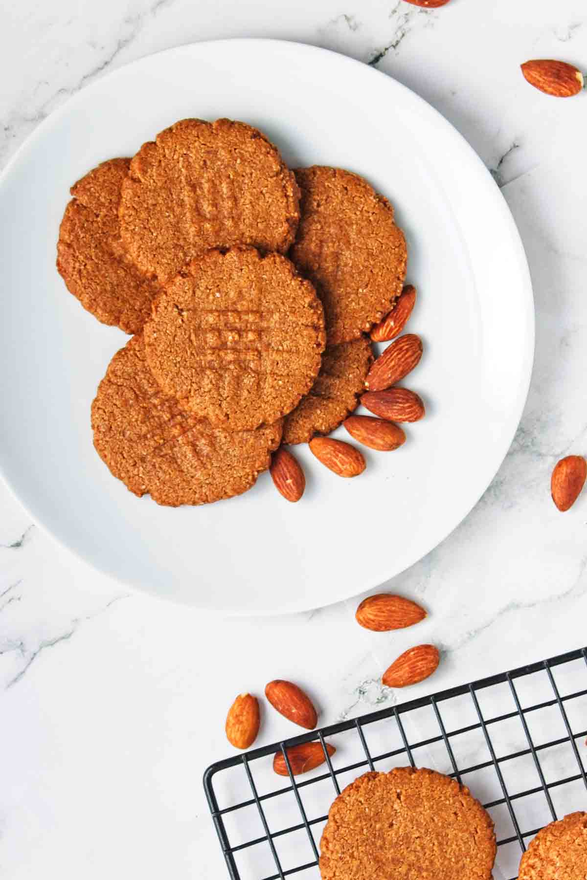 vegan almond flour chocolate chip cookies