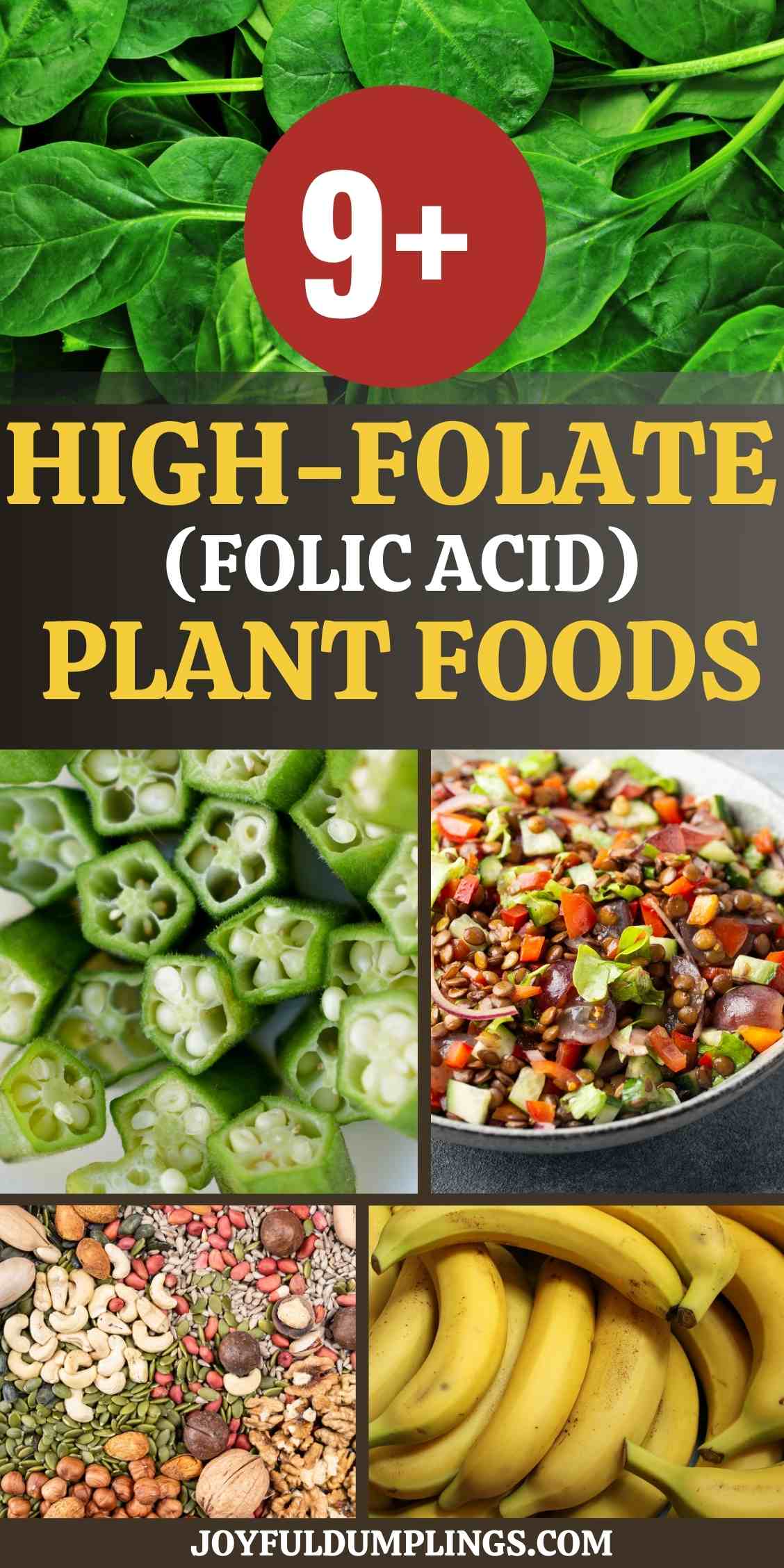 folic acid plant foods