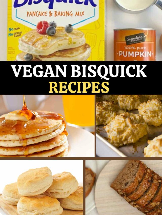 bisquick pancake vegan