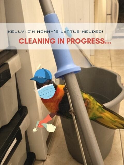 Kelly is helping me cleaning
